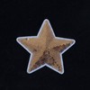 Термоаппликация ТАП 057 звезда золото 8,5см фото
