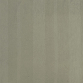 Ткань на отрез полиэстер с эффектом персика 220 см 16-1406 цвет темно-бежевый фото