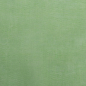 Ткань на отрез ситец гладкокрашеный 80 см 65 гр/м2 цвет салатовый фото