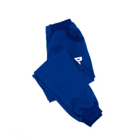 Спортивные штаны женские R цвет синий р 44 фото
