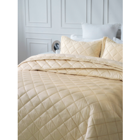 Покрывало VT велюр 260х240 + 2 нав 50х70 цвет 5018-39 фото