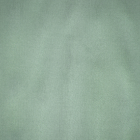 Ткань на отрез кашкорсе 3-х нитка с лайкрой цвет светло-зеленый фото