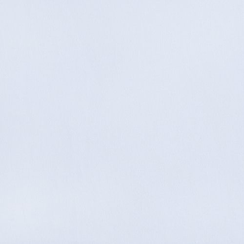 Мерный лоскут кулирка гладкокрашеная 9000 Optik White 190/98х2 см фото 1